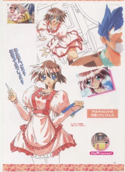 Page 17 of Virtuacall Series - Illustration & Datafile