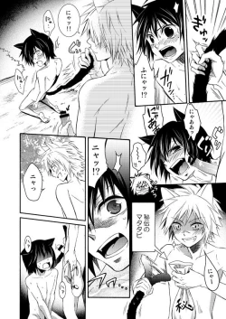 Page 2 of Nekomimi Kikou Manga