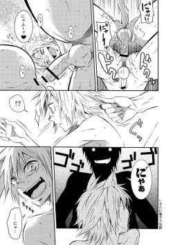 Page 5 of Nekomimi Kikou Manga