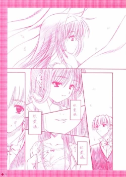 Page 3 of B&G'S COLOR