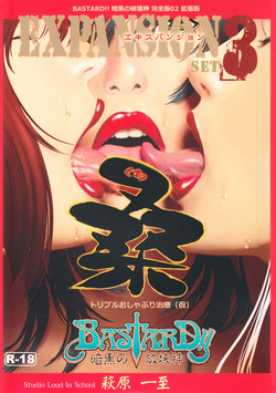 Download BASTARD!!KANZENBAN 02 EXPANSION SET