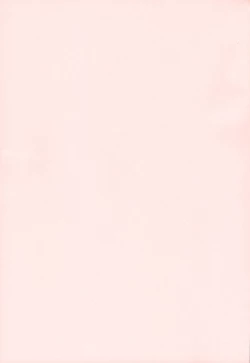 Page 4 of Reitaisai Off-Pako