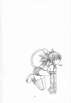 Page 17 of Favo tipeR