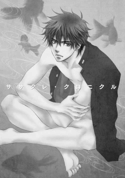 Page 5 of Sasakure Chronicle