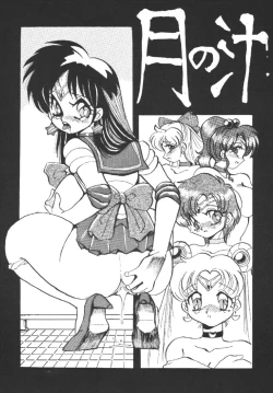 Page 3 of Tsuki no Shiru
