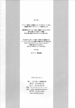 Page 17 of TYPE-JC ELF ver1.1