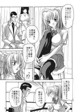 Page 29 of Chikan Ishi Soushuuhen