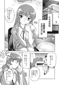 Page 45 of Chikan Ishi Soushuuhen