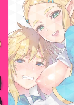 Page 27 of Hyrule Hanei no Tame no Katsudou!