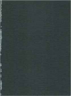 Page 2 of MAGIC GALS F