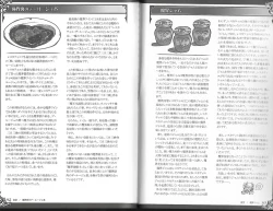 Page 72 of 魔物娘図鑑ワールドガイド外伝2 サルバリシオン～レスカティエの魔界騎士たち～