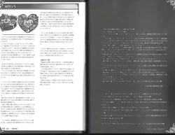 Page 73 of 魔物娘図鑑ワールドガイド外伝2 サルバリシオン～レスカティエの魔界騎士たち～