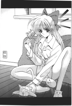 Page 3 of Minako Keikaku VENUS PROJECT