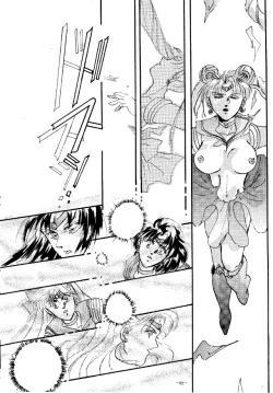 Page 81 of MODEL SPECIAL