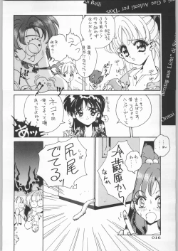 Page 17 of Paraselene