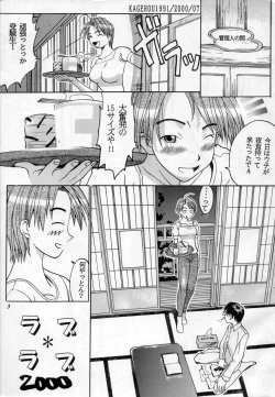 Page 2 of MODEL SPECIAL 11