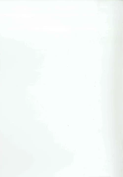 Page 85 of Touhou Chireidon