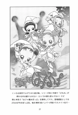 Page 27 of CONRACT of AMETHYST