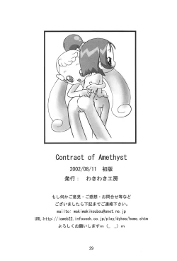 Page 29 of CONRACT of AMETHYST