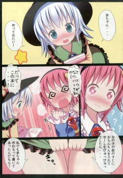 Page 29 of Touhou Chireidon