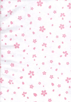 Page 27 of Mikazuchi ga Riajuuda to Anija ga Ochitsukanai