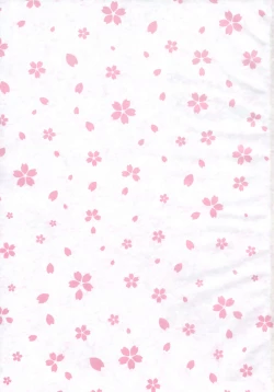 Page 2 of Mikazuchi ga Riajuuda to Anija ga Ochitsukanai