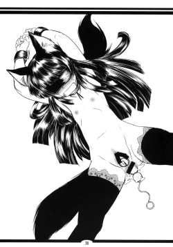 Page 30 of Genko no Tsurugi