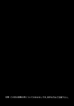 Page 2 of My sweet liar