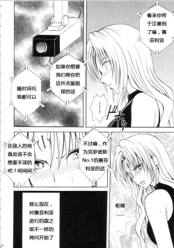 Page 219 of Sephiria Hard Soushuuhen