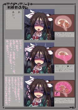 Page 15 of Idea Note "Tone Custom Kanzenban"