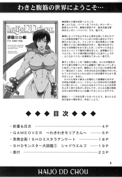 Page 3 of Haijo DD Chou