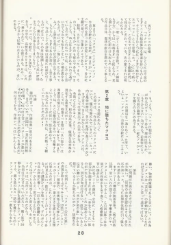 Page 30 of Macross Attack Team - Sky Angels IV: Don't Say Goodbye