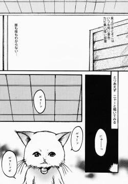 Page 145 of Lollipop Candy