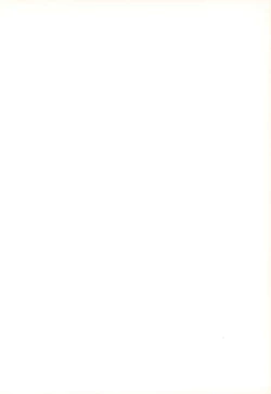 Page 2 of Hinnyuu Musume Vol.11