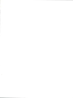 Page 2 of MOVA FILE 3 - Hitomi! Diamond!!