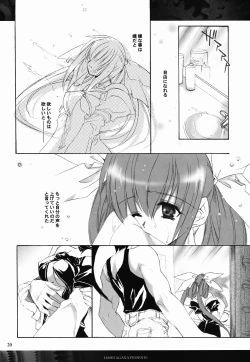 Page 19 of Tightrope Error