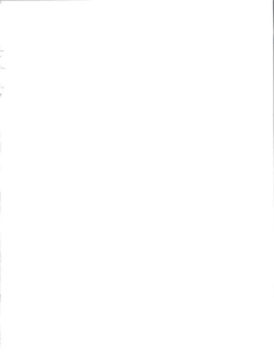 Page 3 of Ore to Foreskin Buri