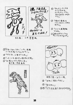 Page 29 of Sonic & Tails