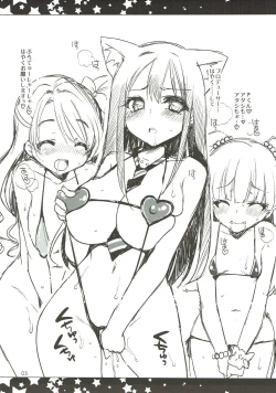 Page 2 of SHIACOPI 2