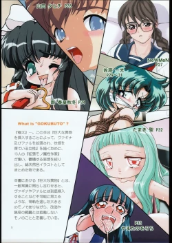 Page 4 of GOKUBUTO