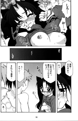 Page 15 of Fate/Luck GEAR material