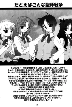 Page 28 of Fate/Luck GEAR material