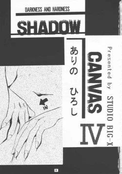 Page 2 of SHADOW CANVAS 4