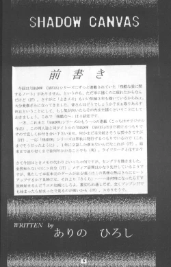 Page 4 of SHADOW CANVAS 7