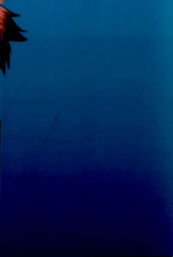 Page 32 of Danshi Kinsei | Boys Prohibited