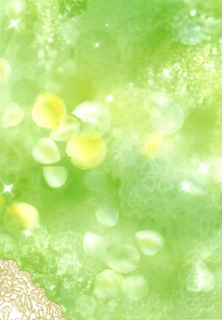 Page 22 of Forest night