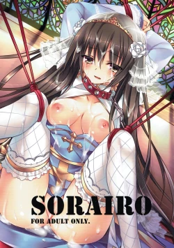 Page 1 of SORAIRO