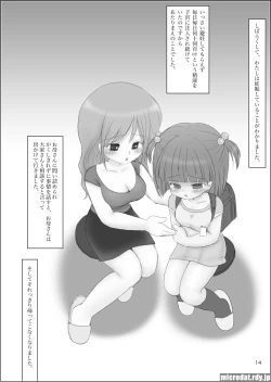 Page 13 of Kinen Busshou Han Shuusoku Jirei