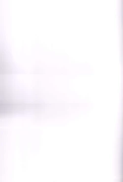 Page 23 of Boogie Woogie*Pine