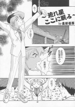 Page 44 of Vitamin B-3